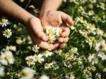 Pure white - immagine 3